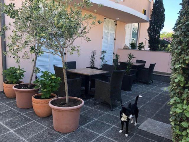 Apartments Eda Baska (Krk) Exterior photo